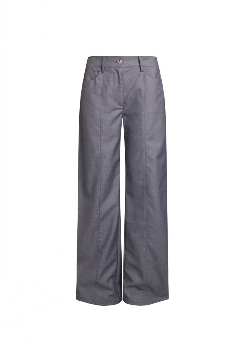 Lioness Dawson Pants Grey | Israel-NZYGT2681