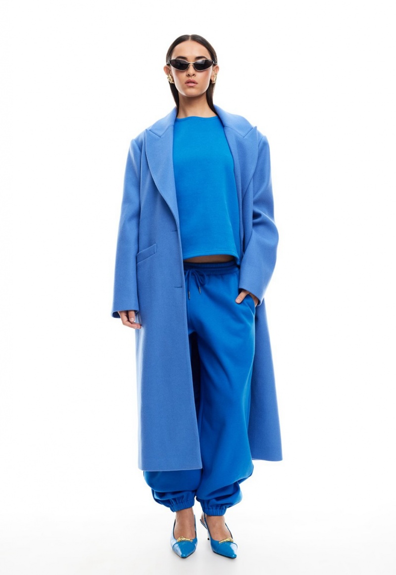 Lioness Olsen Coat Blue | Israel-TDYZE7042