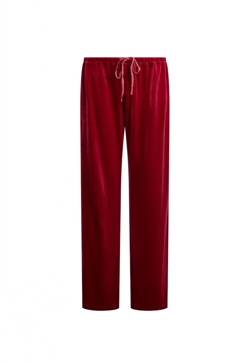 Lioness Ride With Me Pants Burgundy | Israel-HOGFI2856